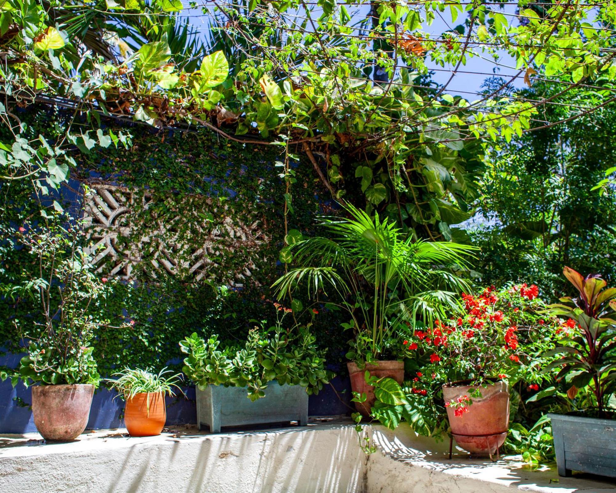 Casa Marimba Bed & Breakfast La Laguna Exterior photo